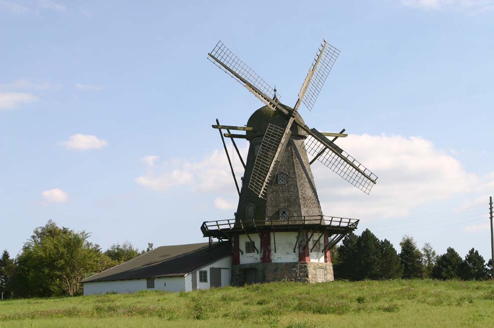 179_7984lille.jpg